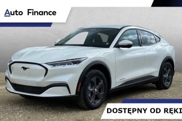 269 KM 75kWh AWD Od Ręki!